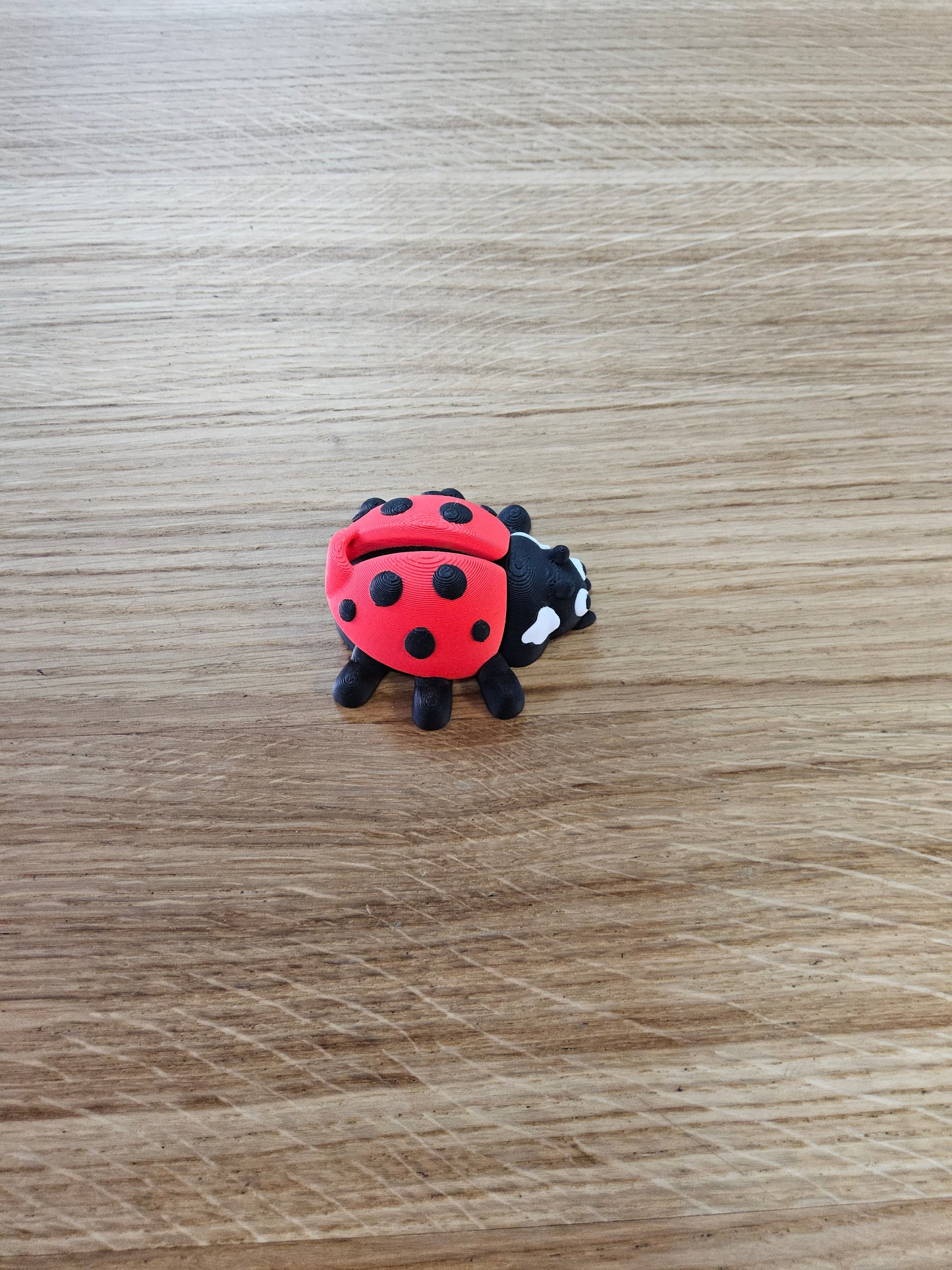 3D Printed Ladybird
