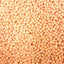Millions Iron Bru - Freeze Dried Sweets