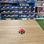 3D Printed Ladybird