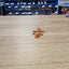 3D Printed Dog