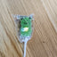 Spring Jelly Pop (23g)